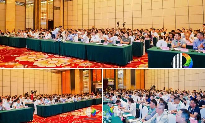 ChinaReplas2025大会完美闭幕展览开幕！9月3日